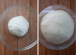 Place dough in greased bowl and cover with plastic wrap. Let rise until double.
