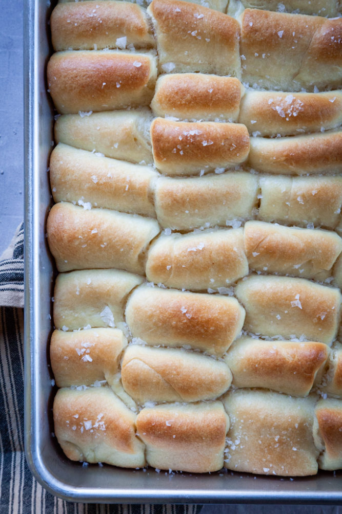 a close up of overnight Parker House Rolls in a baking pan.