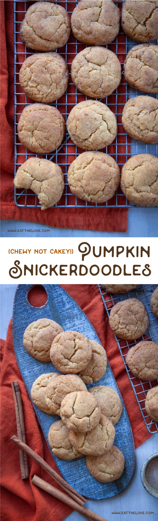 This Pumpkin Snickerdoodle recipe results in the best chewy not cakey pumpkin snickerdoodles, with an bold pumpkin flavor! #pumpkin #cookies #snickerdoodles #recipe #easy #fast #pumpkinspice #chewy