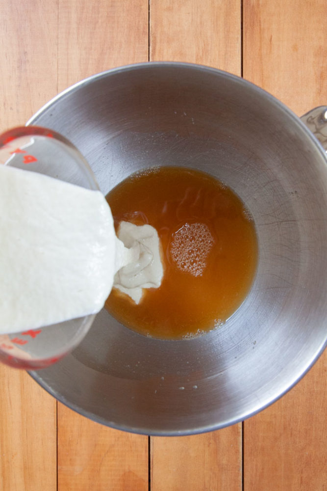 Pouring sourdough starter into water with some malt syrup dissolved in it.