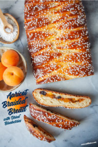 A loaf of braided apricot yeast bread with dried blueberries on a marble surface with a couple of apricots next to it.