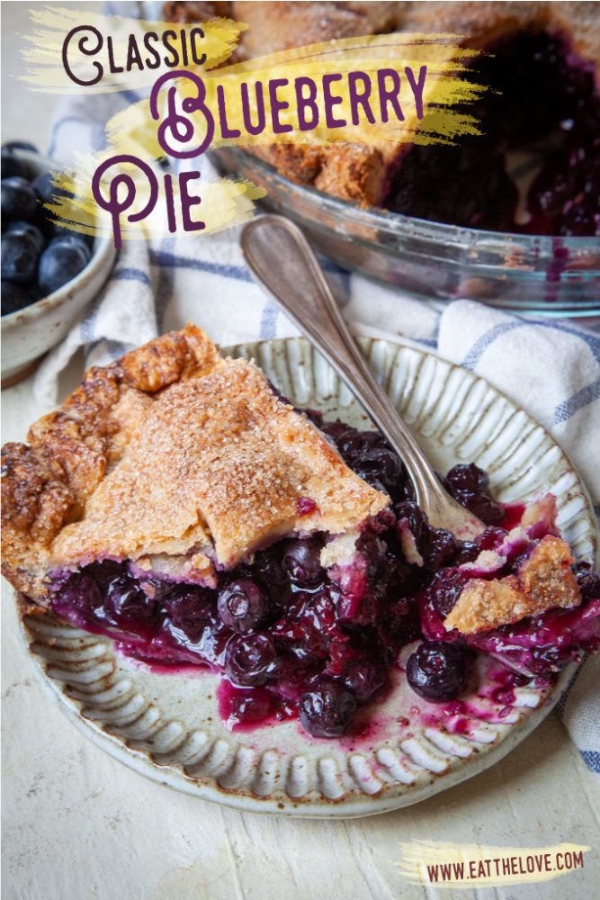 A slice of blueberry pie on a handmade ceramic plate, with the remaining pie in the background.