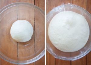 Place dough in a greased bowl and let double in size.