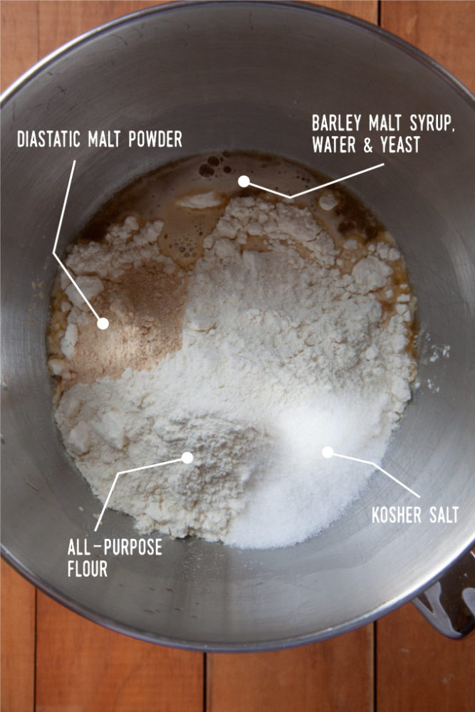 Diastatic malt powder, water, barley malt syrup, yeast, flour and kosher salt in the bowl of a stand mixer.