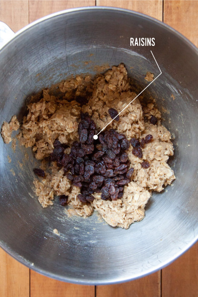 Raisins added to the oatmeal cookie dough in a mixing bowl.