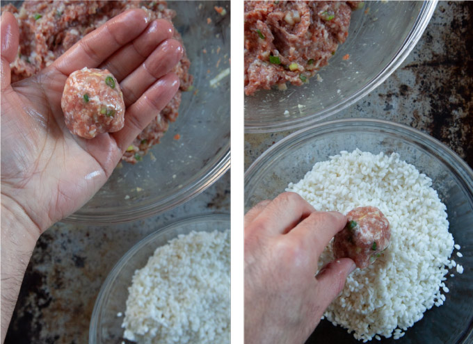 Left image is a hand holding raw pearl meatball filling rolled into a ball. Right hand is dipping the pearl meatball into the soaked raw glutinous rice.