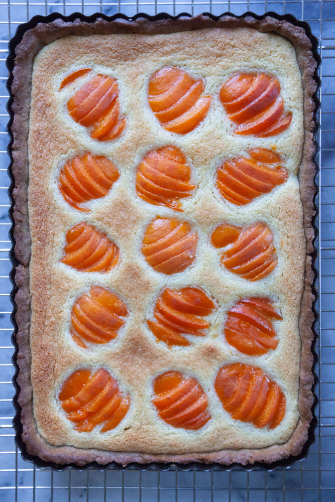 An apricot frangipane tart with rye crust on a wire cooling rack.