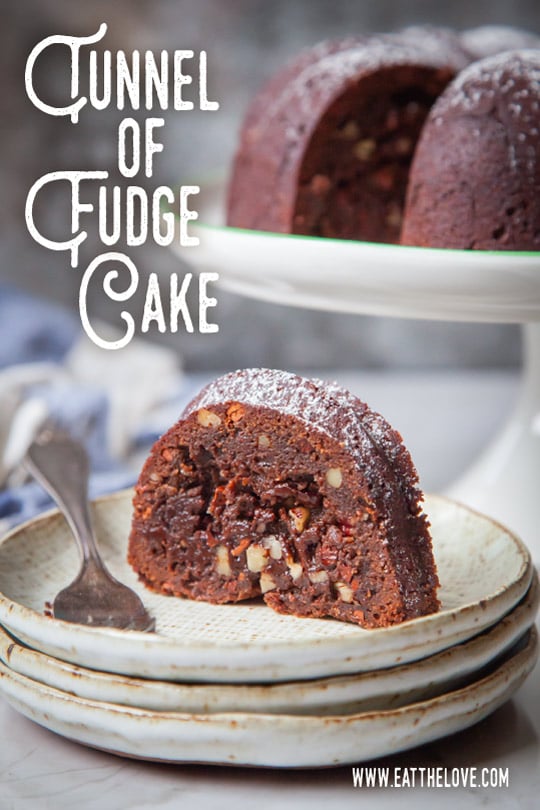 Tunnel of Fudge Cake | Tunnel of Fudge Recipe | Eat the Love